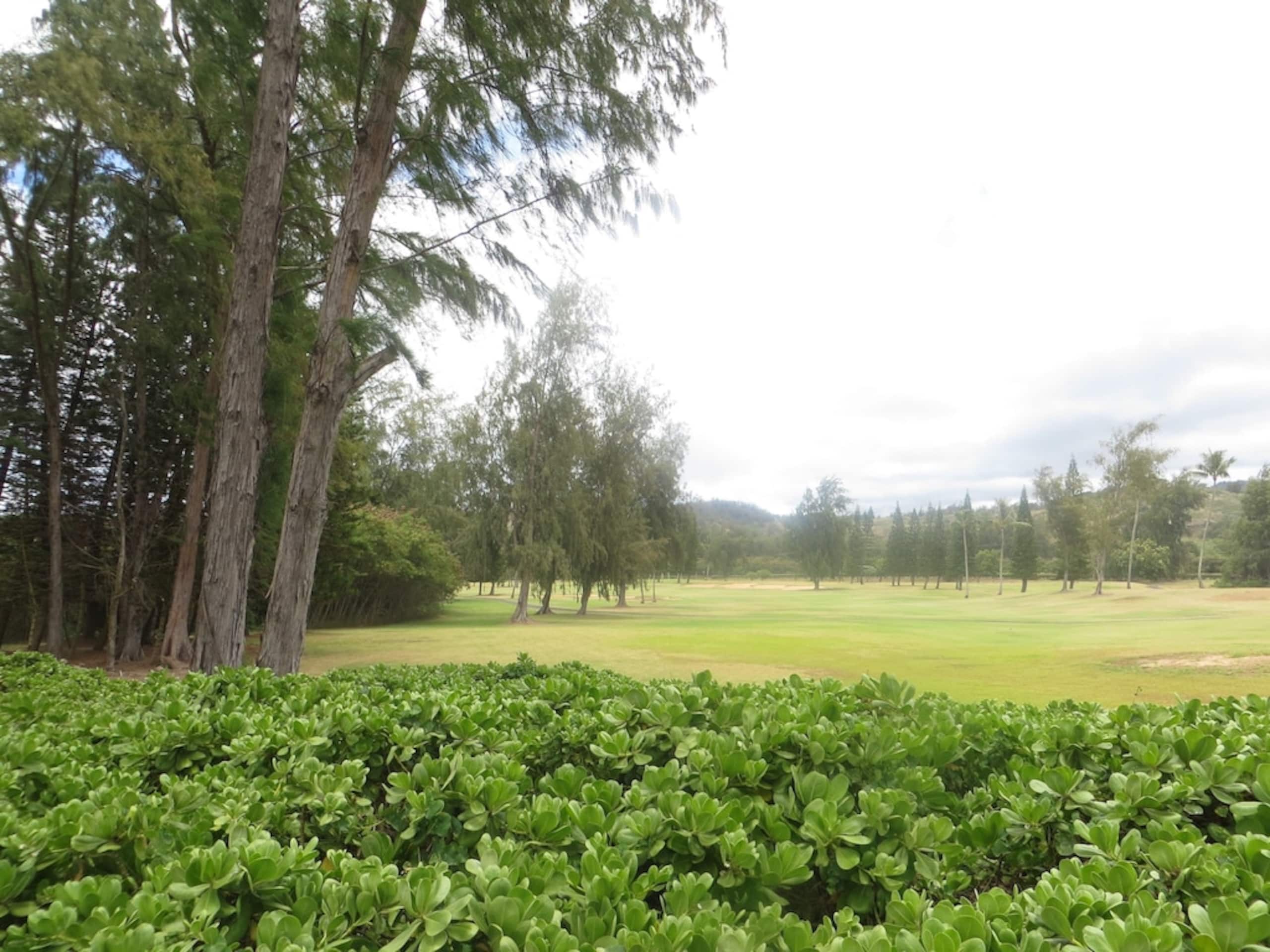 Condo in Kahuku · ★4.74 · 1 bedroom · 2 beds · 2 private baths - Image 17
