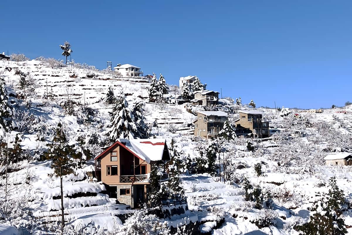 Chirping Chidiya, Mukteshwar, Mukteshwar property 2