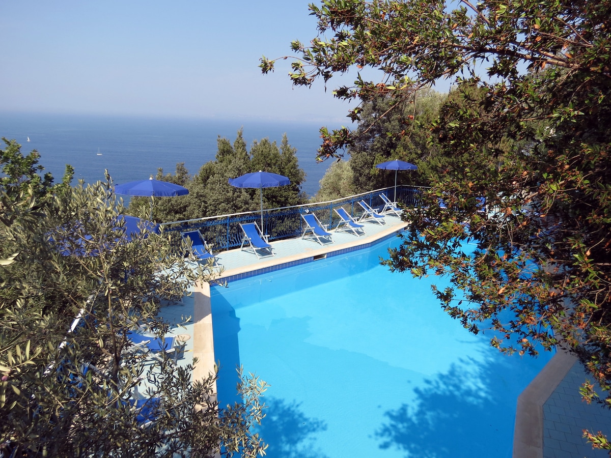 An outdoor swimming pool is framed by lush greenery, with blue umbrellas providing shade over several lounge chairs. The calm blue water reflects the clear sky and offers views of the distant coastline.