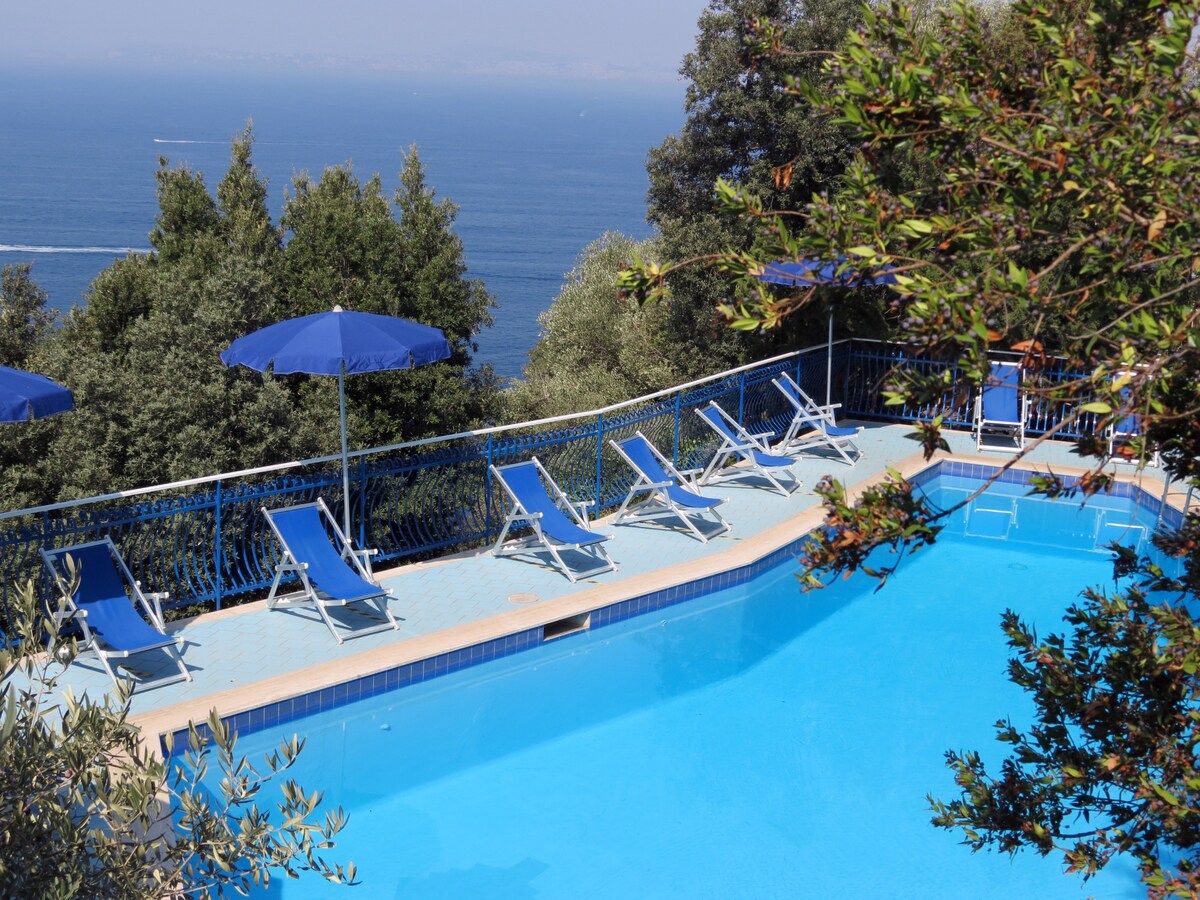 A spacious outdoor swimming pool features clear blue water, surrounded by a sunbathing area with multiple lounge chairs. Umbrellas provide shaded spots for relaxation, while views of the distant coast and sea can be seen in the background.
