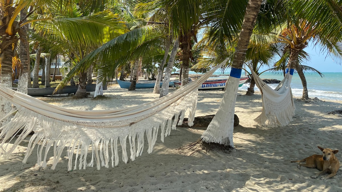 Two spacious hammocks are hung between palm trees on a sandy beach. The vibrant green palms provide shade, while the tranquil sea is visible in the background. A quiet area is created, inviting relaxation under the sun.