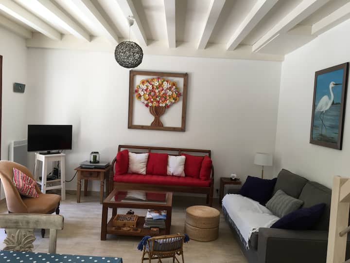 Villa Familiale Au Lac Nord Biscarrosse Plage - Biscarrosse