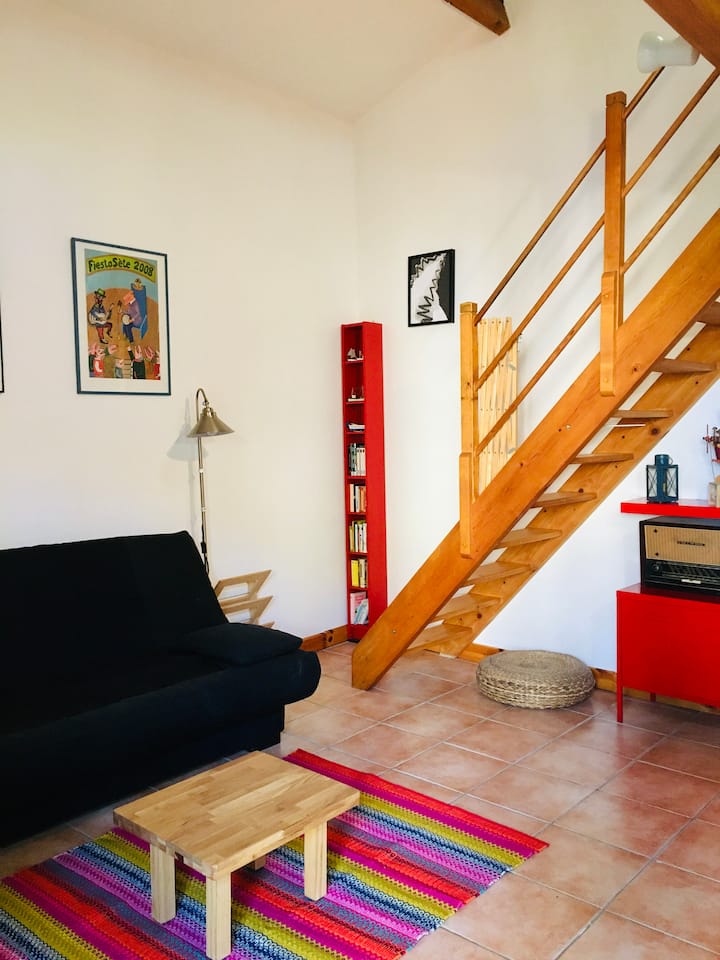 Petite Dépendance Sur Un Terrain Arboré. - Montpellier