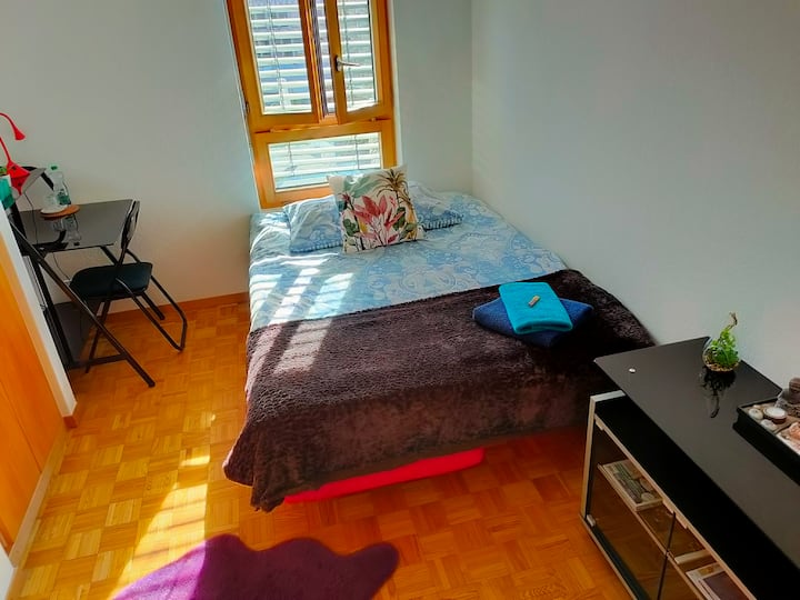 Sion center • Lovely private room • Great place! Apartments for Rent in Sion, Valais