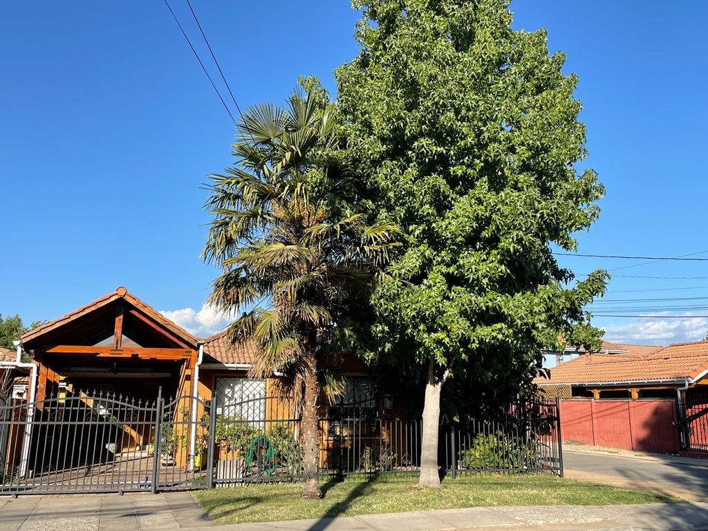 The exterior of the property features a welcoming entrance with a wooden facade and a gated area. Lush greenery, including a tall palm and a large leafy tree, provides shade. A clear blue sky enhances the tranquil setting.