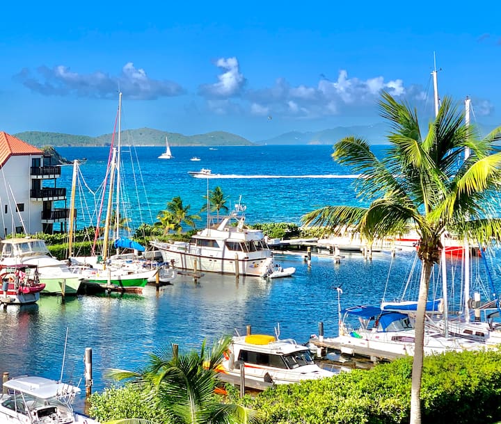 Studio Condo with Captivating Views Condominiums for Rent in East End