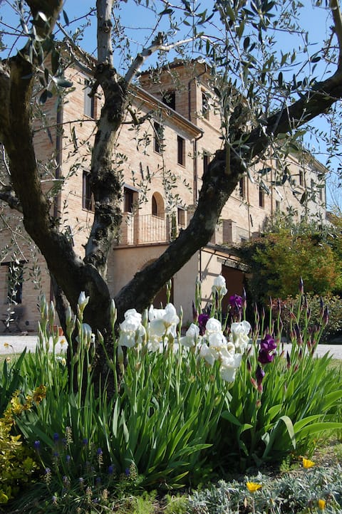 Charming Italian Village Retreat - 2 Apartments