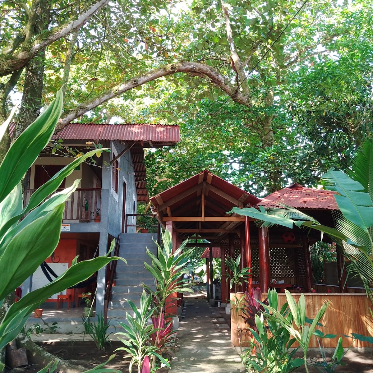 A charming property is surrounded by lush greenery and tropical plants, with large trees providing ample shade. The entrance features a well-maintained pathway leading to two distinct structures, one with a vibrant red roof and the other exhibiting a traditional design.