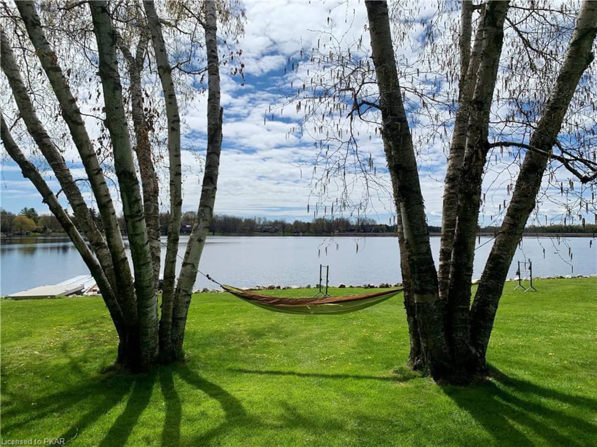 A hammock is suspended between two trees on a grassy area, offering a view of Buckhorn Lake. The water reflects the sky, while nearby foliage and scattered rocks create a serene outdoor setting.
