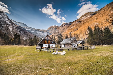 Cute little house Rutar in the nature Valley Voje