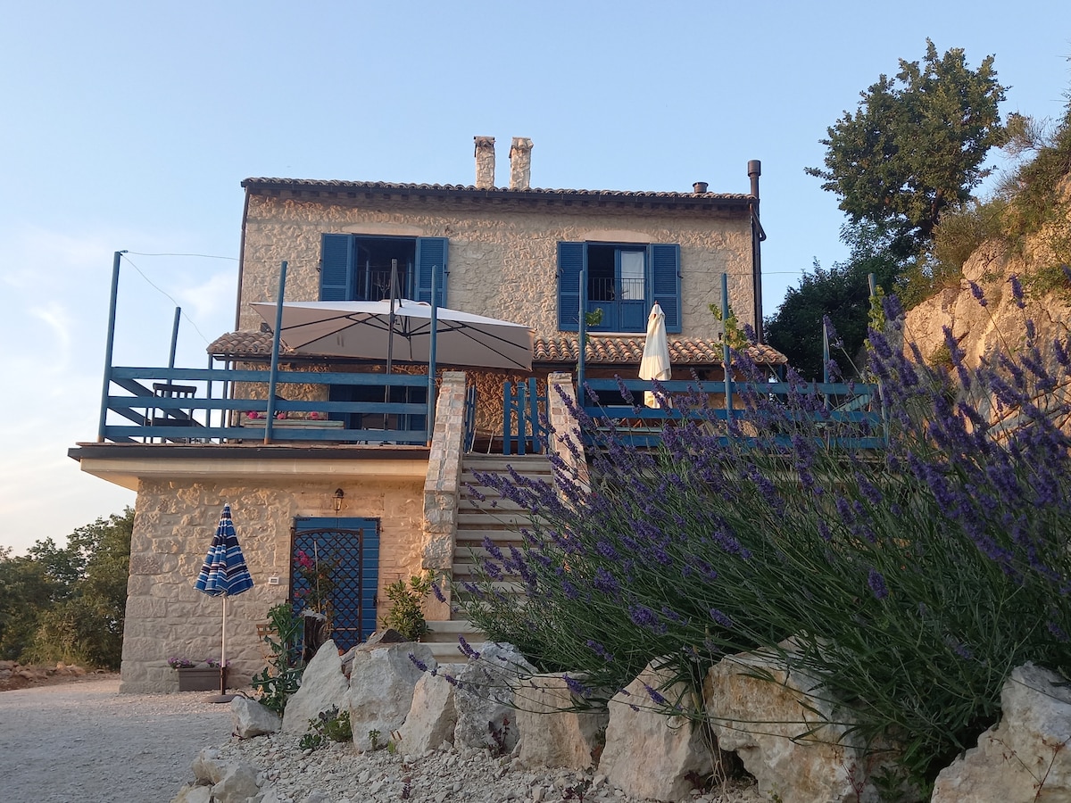 A charming stone house features blue shutters and a covered terrace. Lavender plants surround the base, while steps lead to the entrance. A striped umbrella and a blue-striped chair are visible on the terrace, enhancing the outdoor seating area.