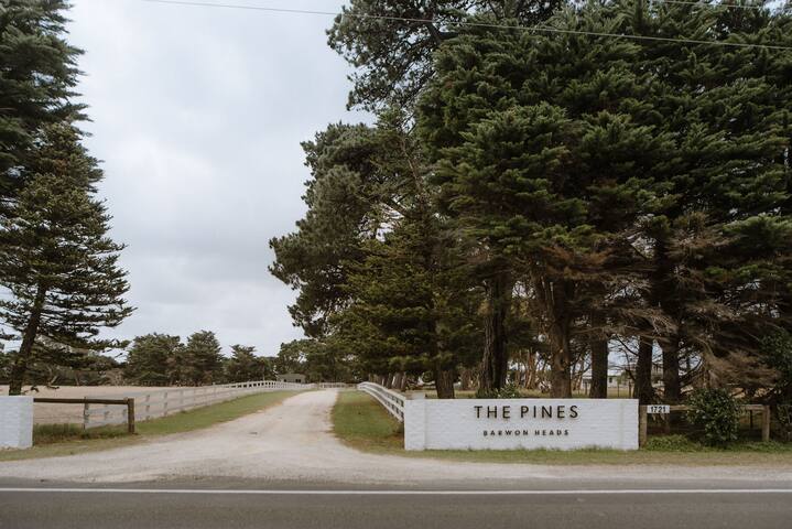 The Pines Barwon Heads (House & Suite) gallery image 5