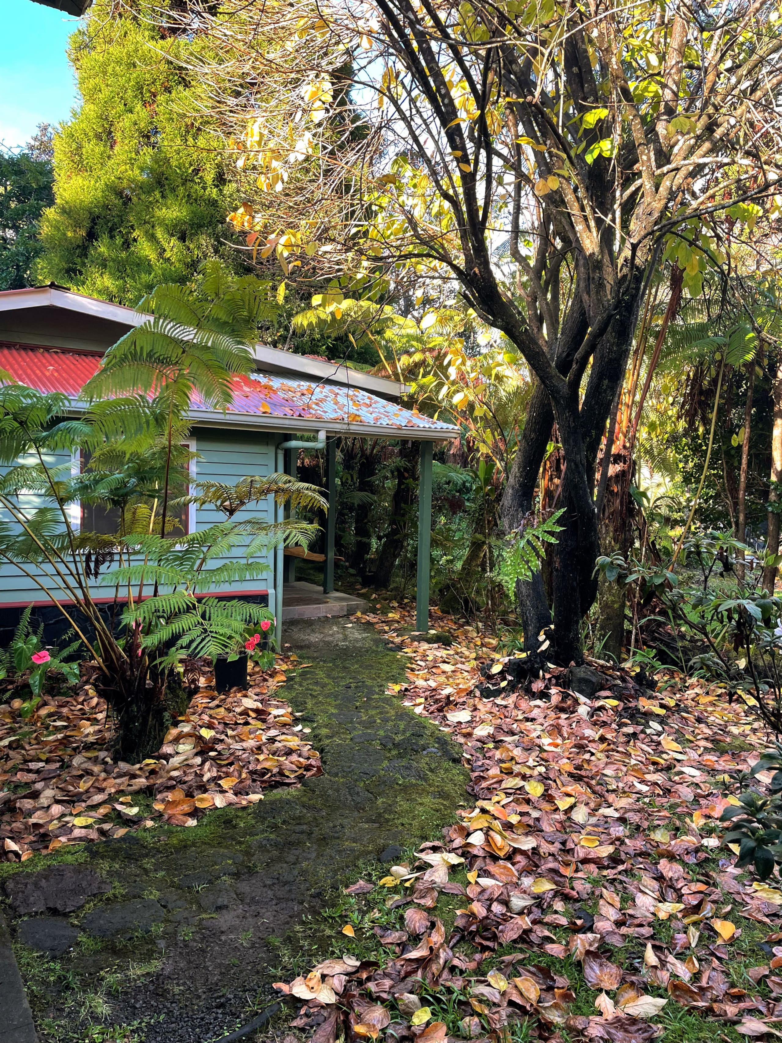 The Maid's Quarters Cottage with Gardens and Gazebo Hot Tub - Image 6