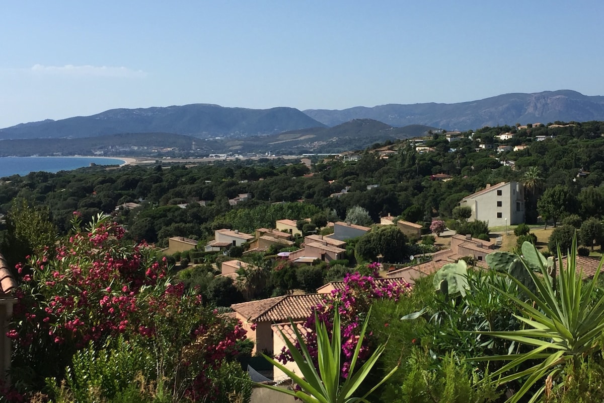 A panoramic view showcases a coastal landscape, featuring lush greenery and terracotta-roofed buildings. The rolling mountains in the background are complemented by the serene sea, while colorful flowers and plants in the foreground add vibrancy to the scenery.