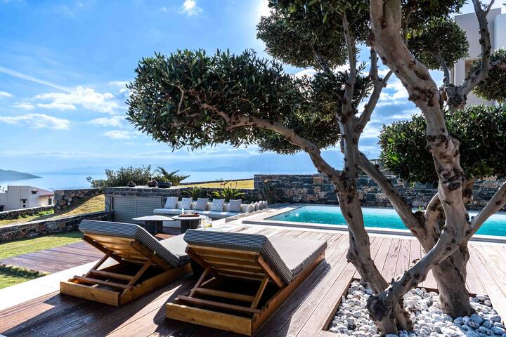 The Olive Tree Villa gallery image 5