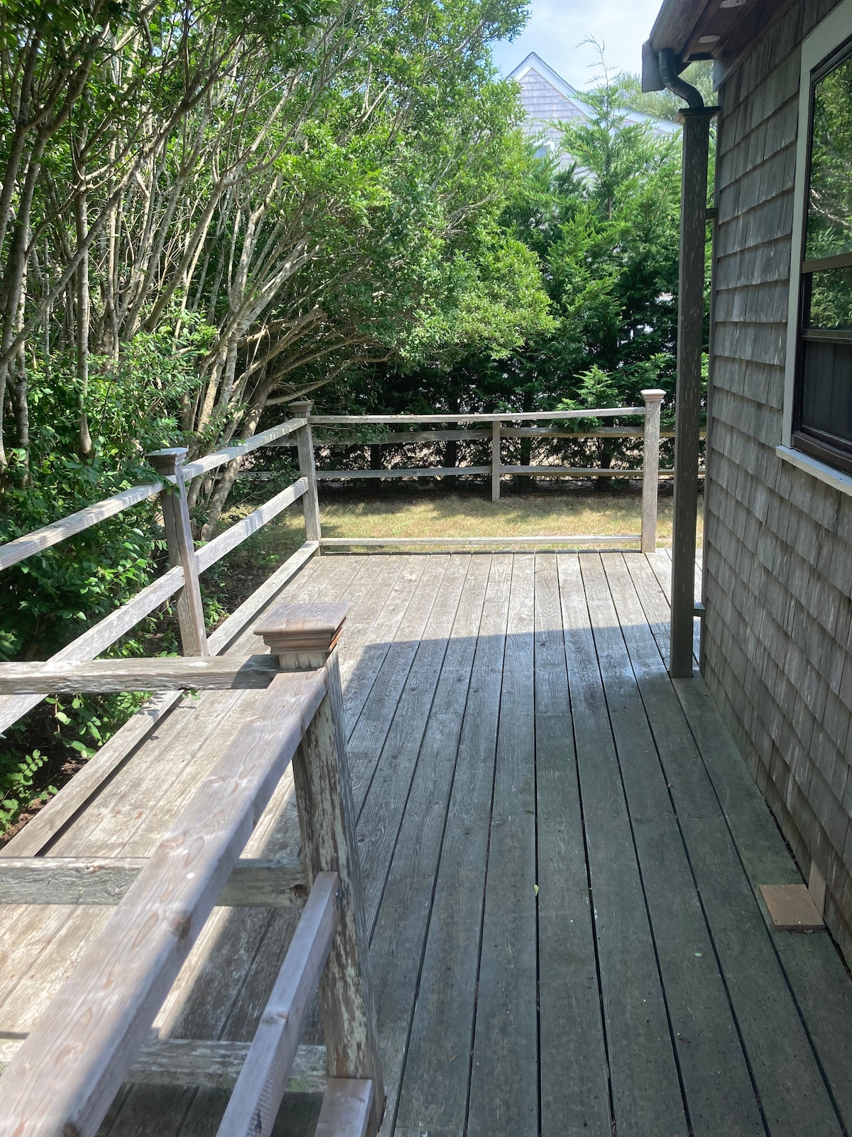 A wooden deck is shown, featuring a smooth surface and sturdy railings. Dense greenery surrounds the space, providing privacy. Natural light filters through the trees, creating a calm atmosphere. The deck extends from the side of a house, seamlessly blending with the outdoor environment.