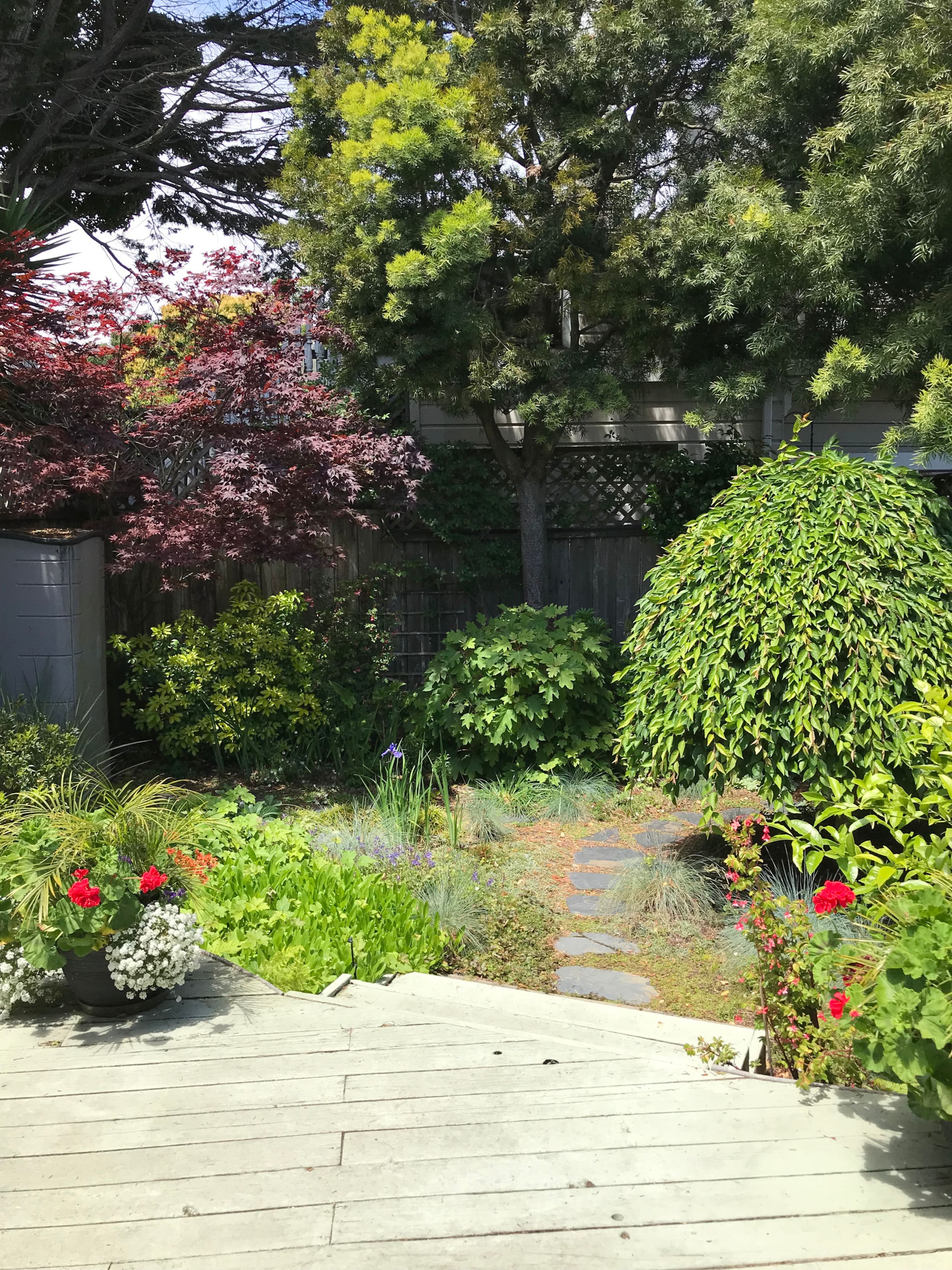 Home in San Francisco · ★4.96 · 2 bedrooms · 2 beds · 1 bath - Image 7