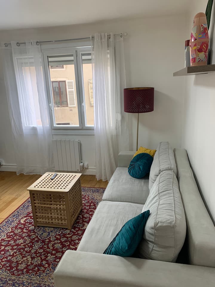 Appartement Cosy F3 Proche Du Parc De La Pépinière - Nancy