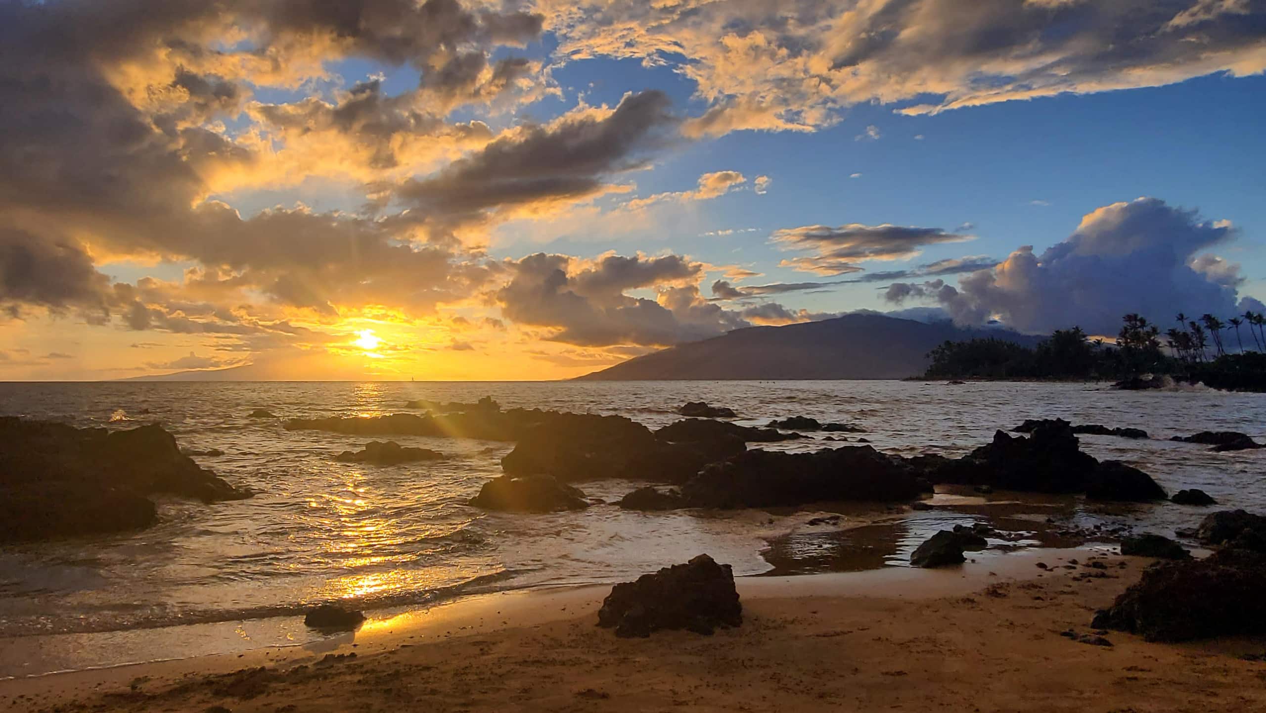 Condo in Kihei · ★4.97 · 1 bedroom · 2 beds · 2 shared baths - Image 18