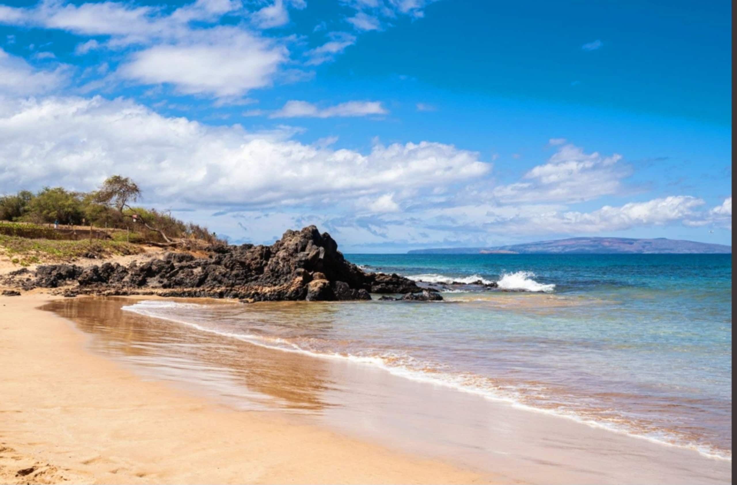 Condo in Kihei · ★4.97 · 1 bedroom · 2 beds · 2 shared baths - Image 34