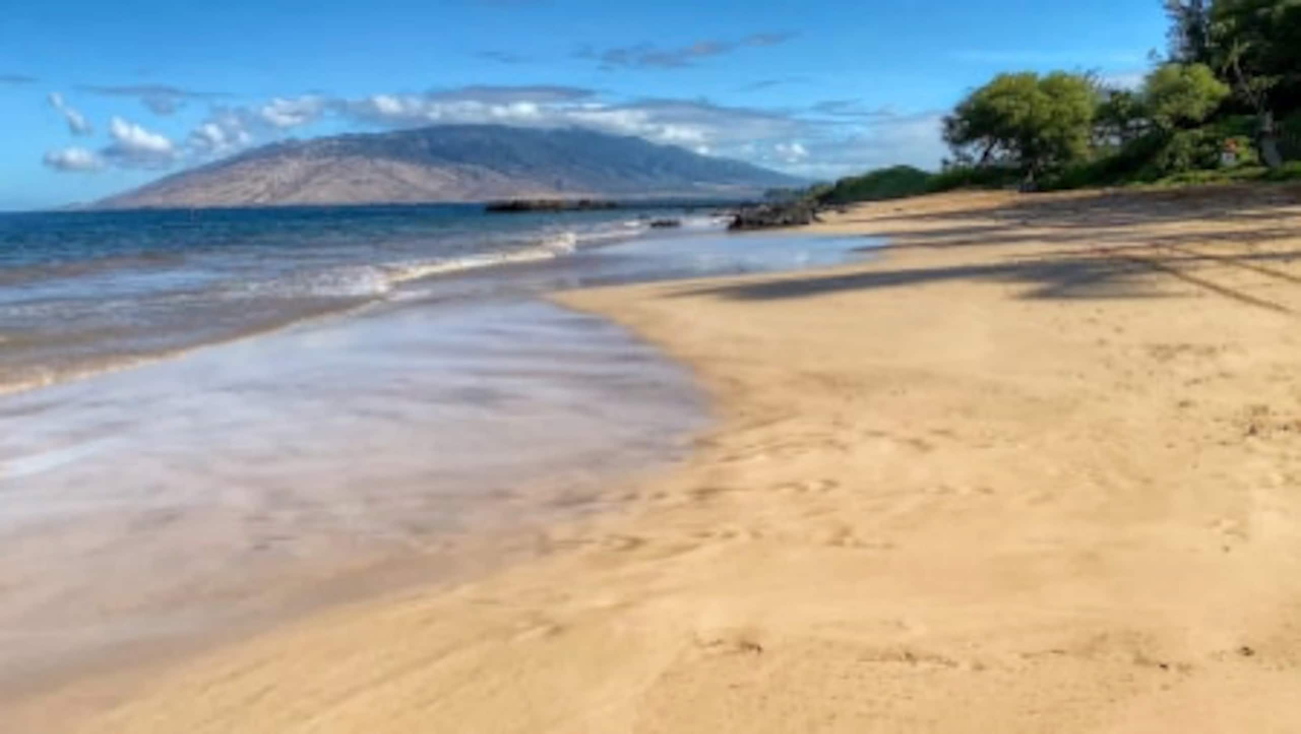 Condo in Kihei · ★4.97 · 1 bedroom · 2 beds · 2 shared baths - Image 30
