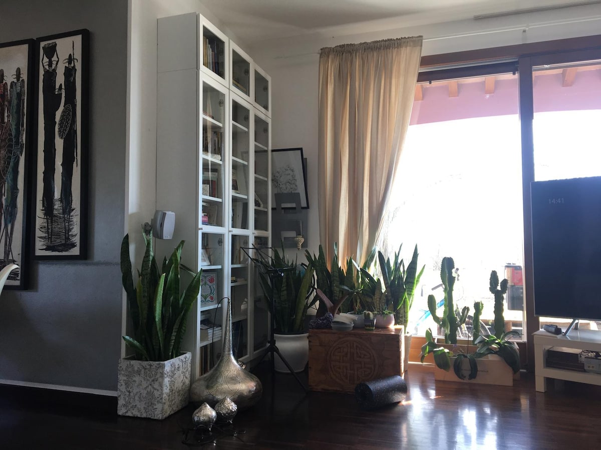 A modern living area features large windows draped with soft curtains, allowing natural light to fill the space. A tall bookshelf filled with decorative items stands beside various indoor plants, including snake plants and cacti. A low table and a rolled mat are visible on the dark wooden floor.