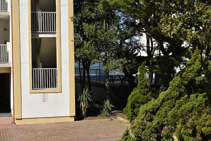 Alexander Mini Mansion 202D - Townhouses for Rent in Ocean City