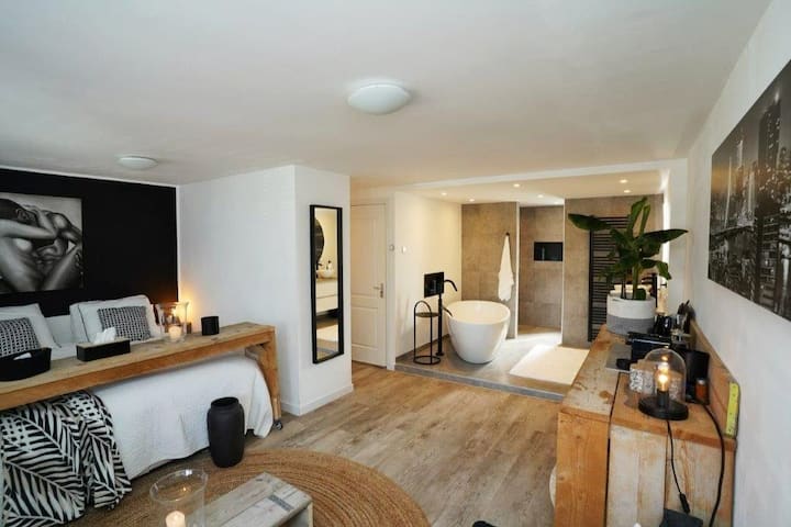 Luxury Complete Studio near Rotterdam