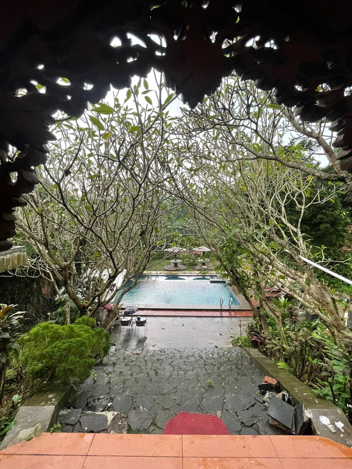 A serene view of a private pool surrounded by lush greenery and flowering trees is framed by ornate architectural details. Stone steps lead down to the pool area, which features sun loungers and umbrellas, encouraging relaxation in a tranquil setting.