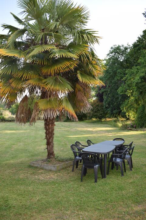 The palm grove gîte 4 bedrooms