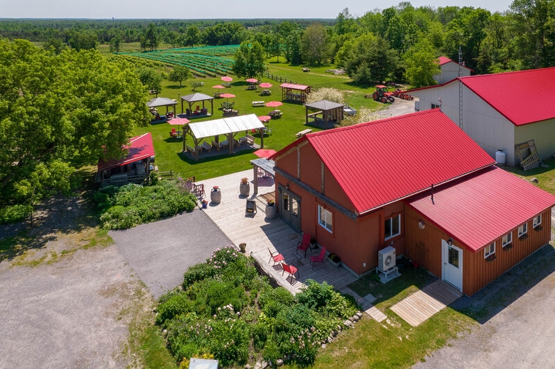 Aerial view of a spacious outdoor area featuring picnic tables and canopies surrounded by lush greenery. The vibrant red-roofed building is visible, alongside a gravel path and landscaped gardens. In the distance, rows of vines stretch across the vineyard, creating a calming rural backdrop.