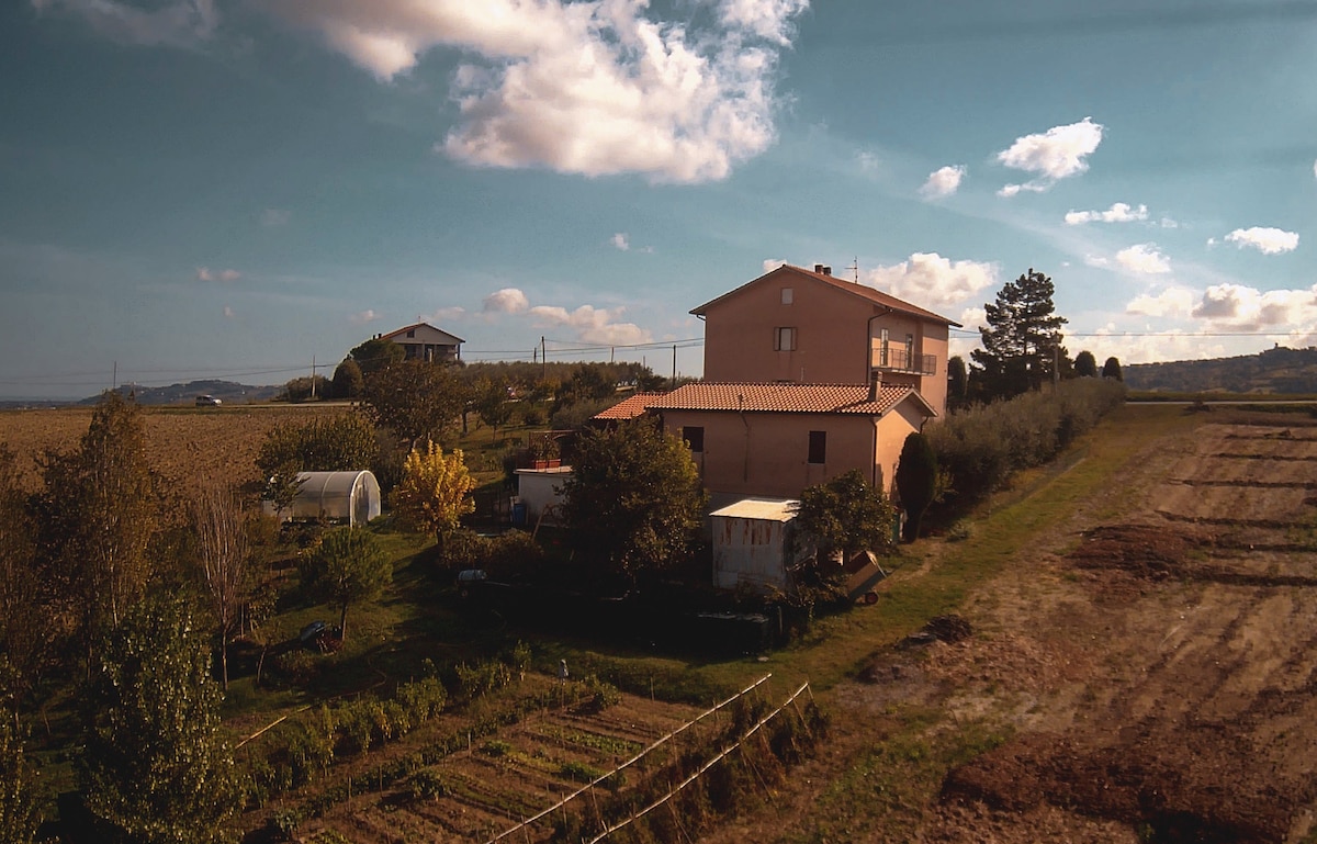 A spacious two-story house is set against a backdrop of open fields and blue skies. Fruit trees and bushes are visible in the yard, complemented by neatly arranged garden plots. The tranquil landscape emphasizes the serene country setting.