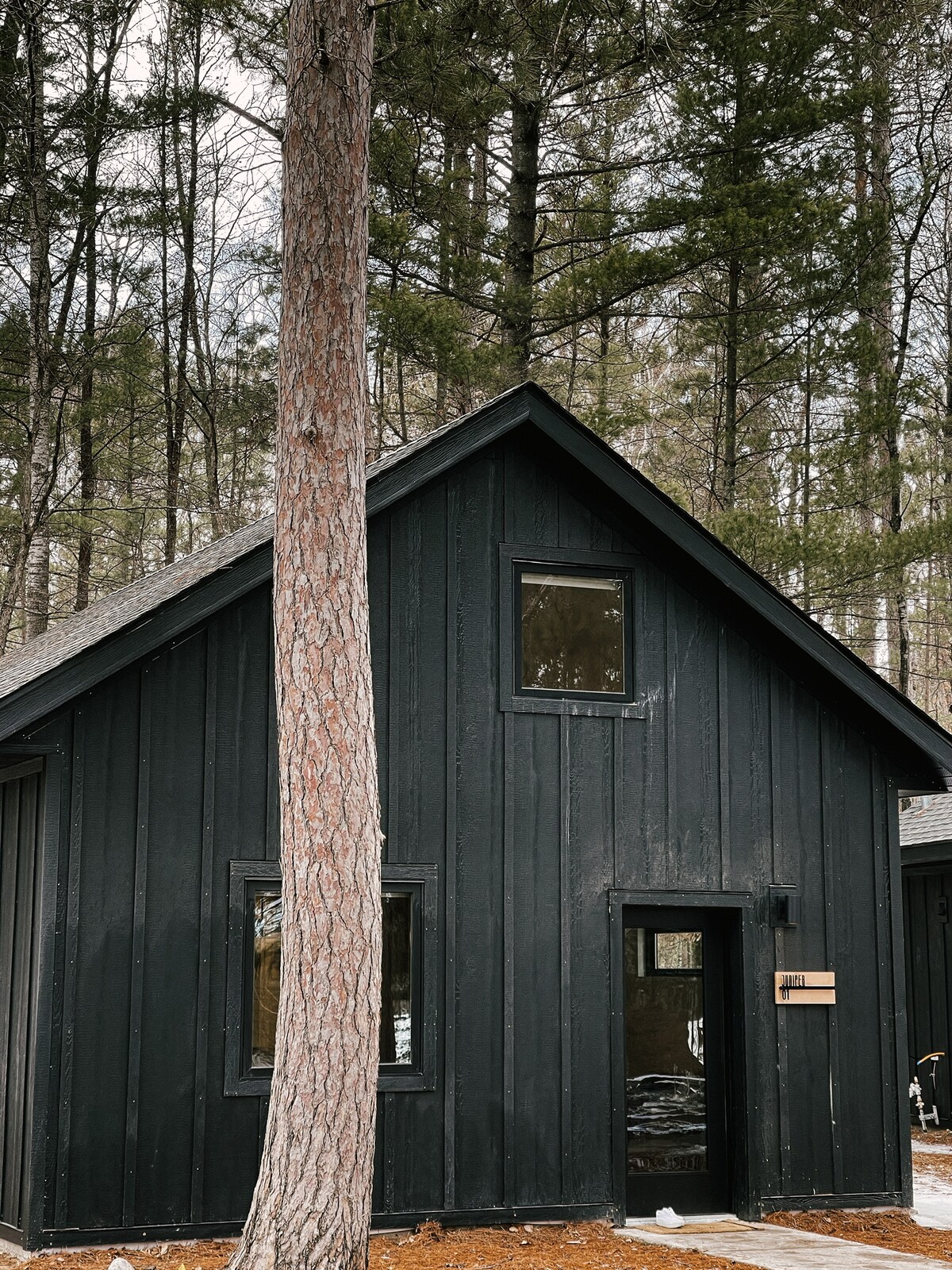 A modern cabin exterior features dark wooden siding and triangular rooflines. Large windows are positioned symmetrically on the front, framed by tall trees that emphasize the natural surroundings. A clearly defined entrance adds to the cabin's inviting presence amidst the forest.
