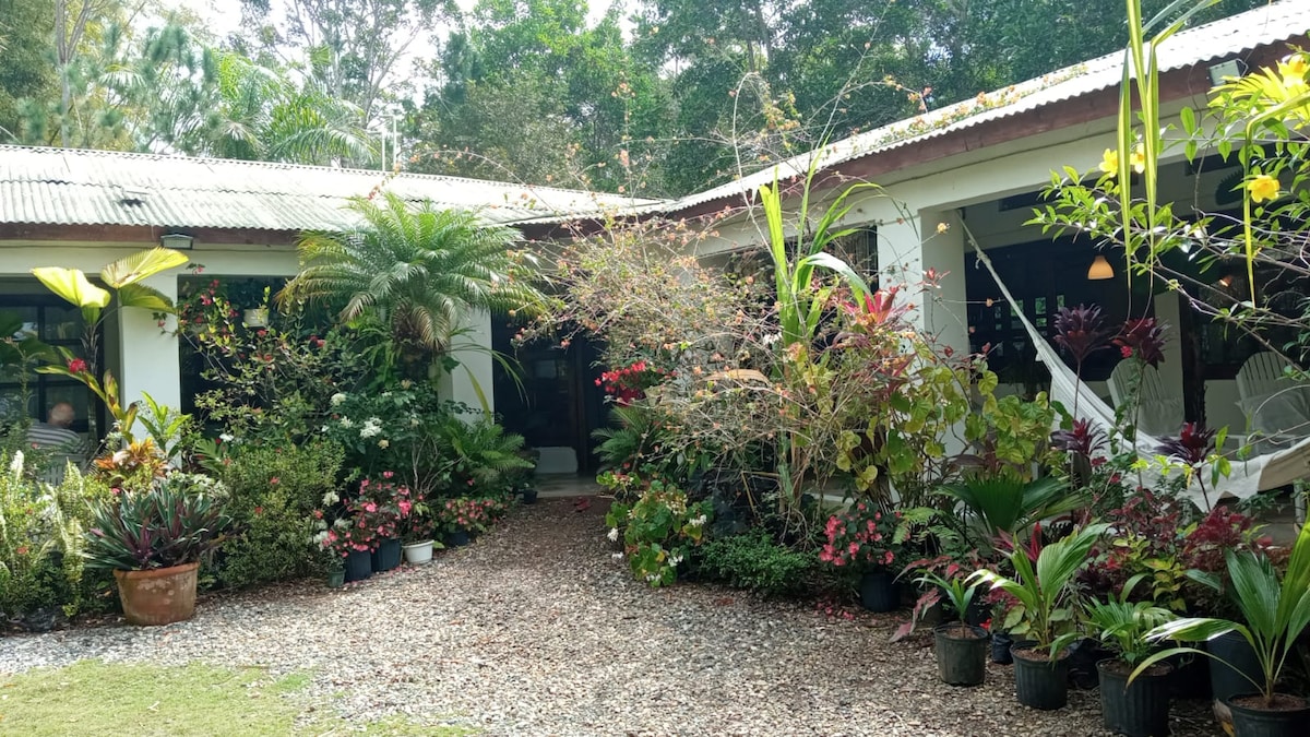 An entrance pathway is lined with diverse tropical plants and colorful flowers. A gravel path leads toward an inviting entrance, flanked by lush greenery and potted plants, creating a serene connection with nature.