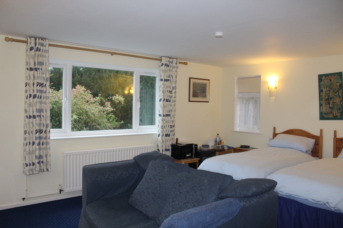 A twin room features light-colored walls and a blue carpet. Two beds with white linens are positioned beside a comfortable blue sofa. Large windows allow natural light in, offering a view of greenery outside. Warm lighting is provided by wall sconces, enhancing the inviting atmosphere.