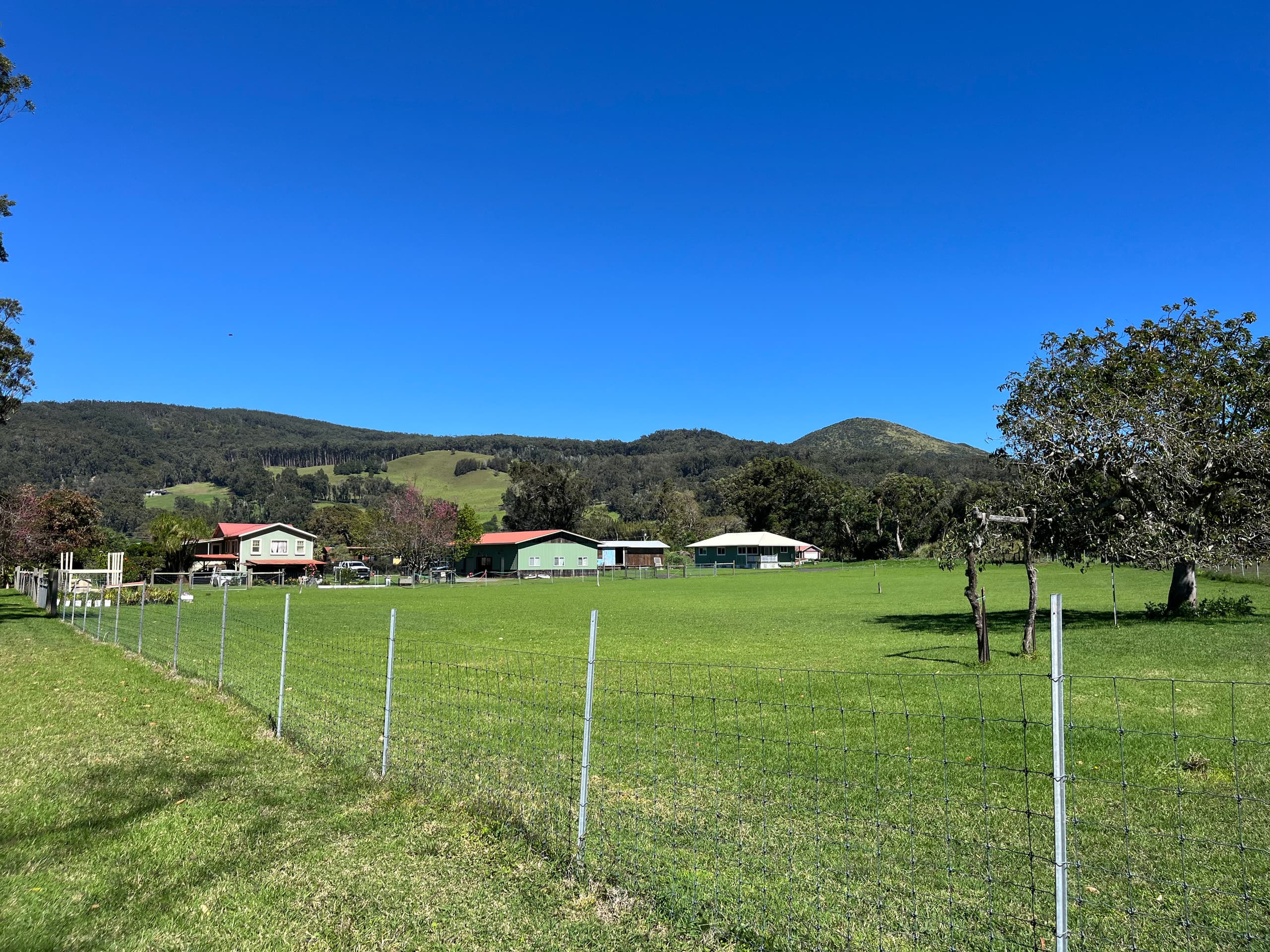 3 bedroom home on one acre in Waimea - Photo 25