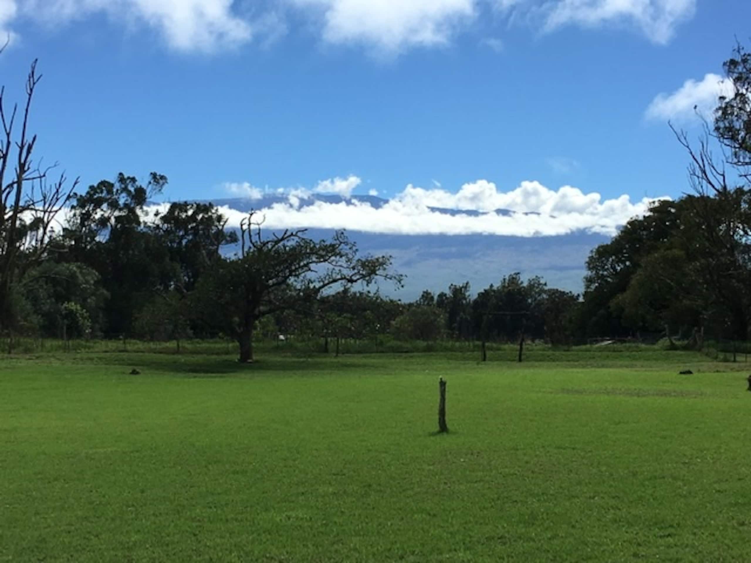3 bedroom home on one acre in Waimea - Photo 26