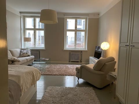 Spacious and peaceful city heart apartment 48 sqm