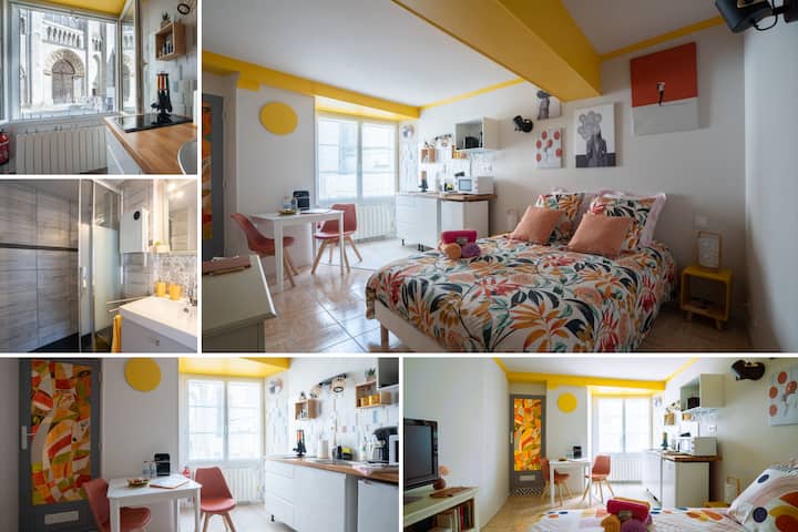 SUPERLOGIS LE PITAYA-STUDIO BLOIS-HYPERCENTRE - Apartments for Rent in  Blois, Centre-Val de Loire, France - Airbnb