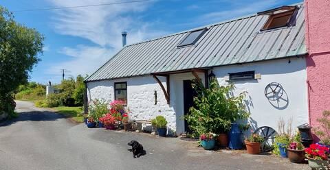 Top performing Airbnb: The Old Barn at Goetre Farm in Crunwere, Amroth