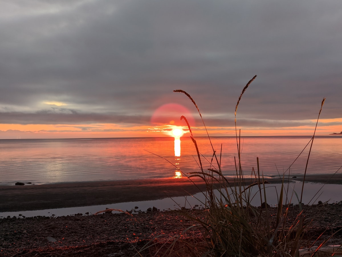 A serene landscape captures the sun setting over the calm water, reflecting shades of orange and pink. Grasses gently sway in the foreground, framed against the tranquil shoreline. The sky is mottled with soft clouds, creating a peaceful natural ambiance.