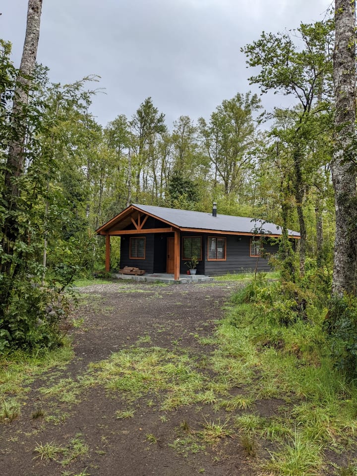 Beautiful new house 5 minutes from downtown Pucon Vacation homes for Rent in Pucón, Araucania