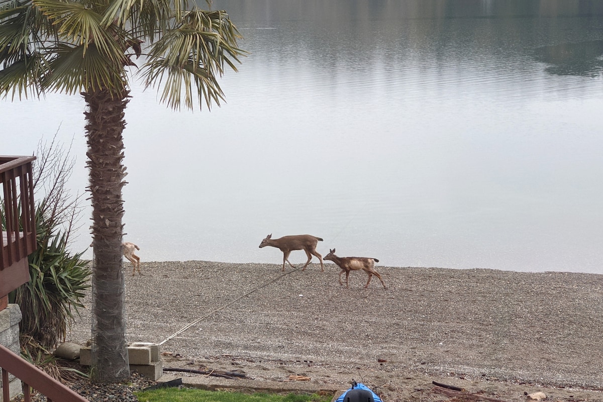 Three deer are seen walking along the shoreline, near a calm body of water. The sandy beach is bordered by lush greenery, while a palm tree stands on the left, adding a touch of nature to this tranquil setting.