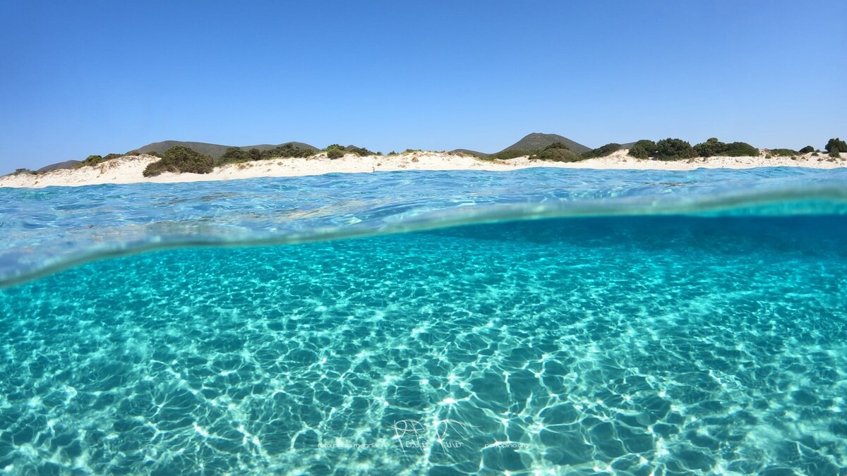 Crystal clear turquoise waters are featured, with gentle ripples reflecting the sunlight. The shoreline is visible in the background, framed by rolling green hills under a clear blue sky.