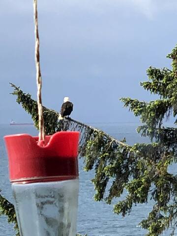 Oceanfront, 3 bed/3 bath/private hottub/relaxing gallery image 4