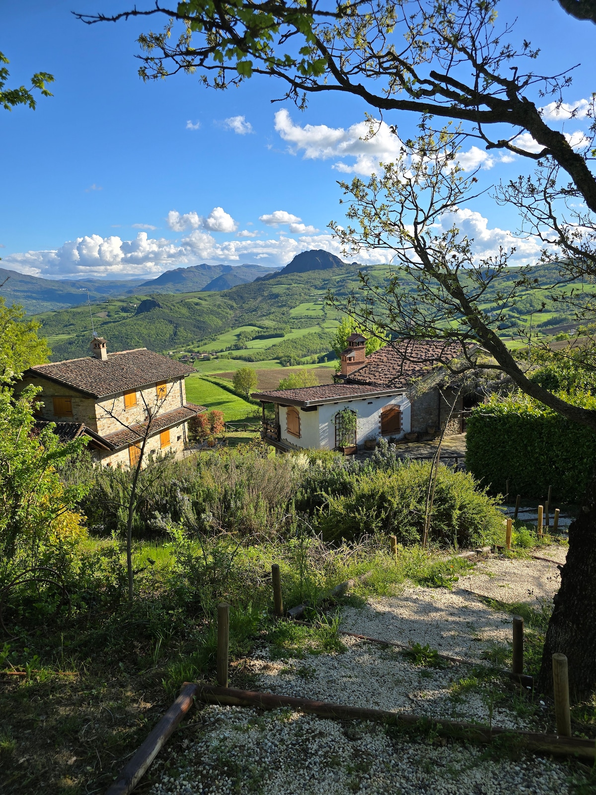 A scenic view is presented, revealing a quaint arrangement of houses nestled among lush greenery. Rolling hills extend into the distance, with a prominent mountain peak visible under a bright blue sky. Natural light enhances the vibrant landscape, illustrating a serene rural setting.