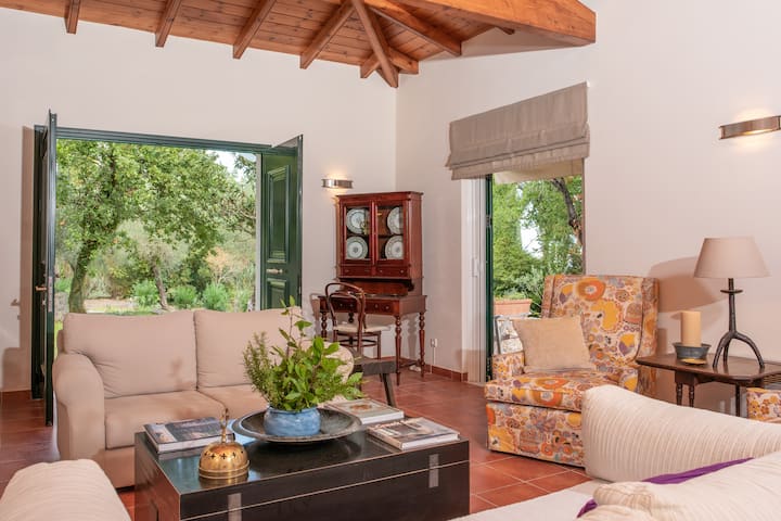 غرفة المعيشة