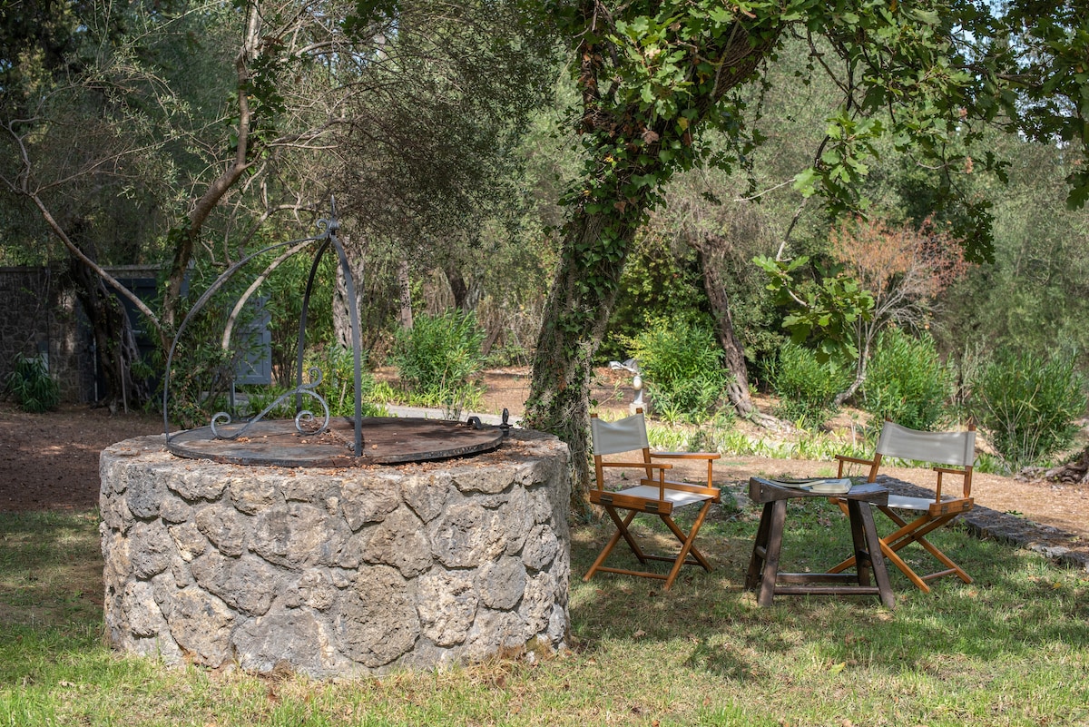 A circular stone well is surrounded by greenery. Two wooden chairs are positioned nearby, along with a small table. Sunlight filters through the trees, creating a tranquil setting conducive to relaxation and outdoor gatherings.
