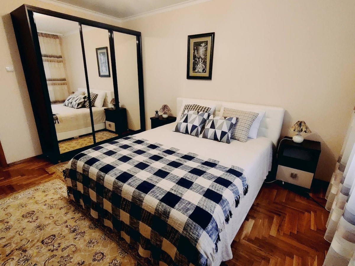 The bedroom features a spacious bed covered with a checkered blanket. A mirrored wardrobe provides additional storage, while bedside tables host decorative lamps. Soft natural light enters through a window, and a patterned area rug adds texture to the wooden floor.