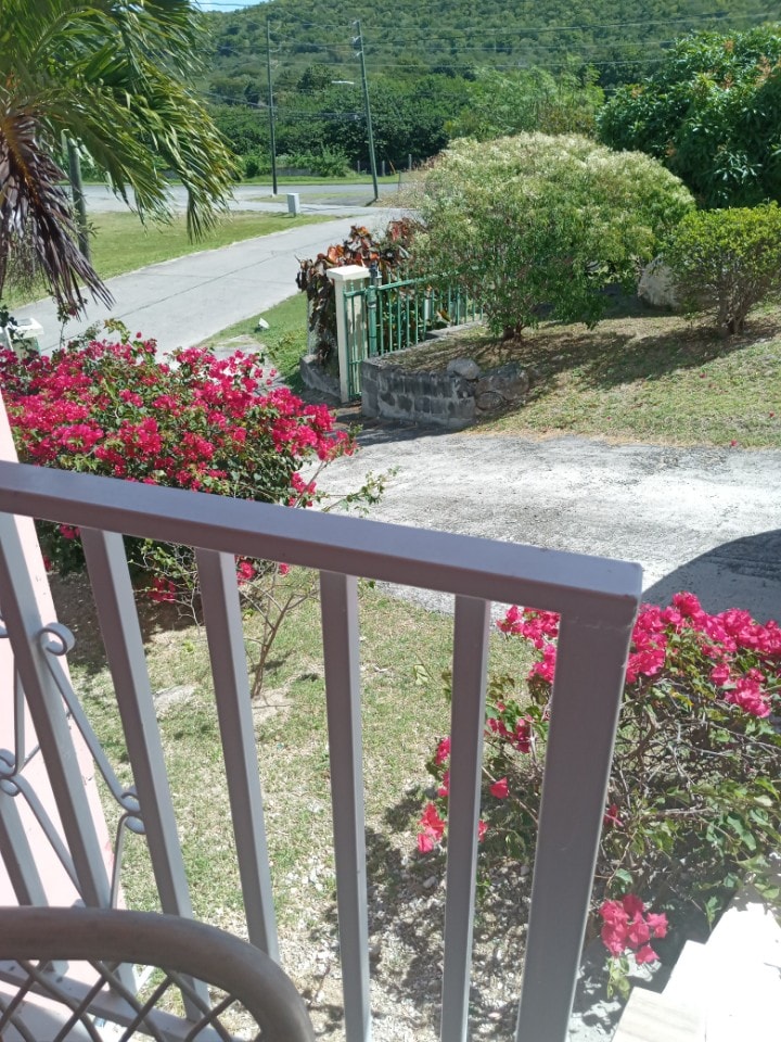 A view from a balcony showcases a garden with vibrant pink flowers and greenery. The pathway leads to a gate bordered by lush plants, with a rural landscape featuring a gentle hill in the background.